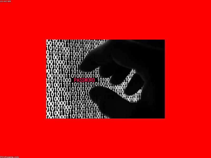 Digital communication network nodes connecting global users